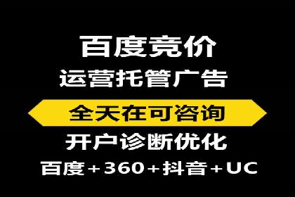 百度竞价托管外包案例：打造行业领军品牌